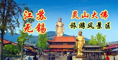 亚洲淫水江苏无锡灵山大佛旅游风景区